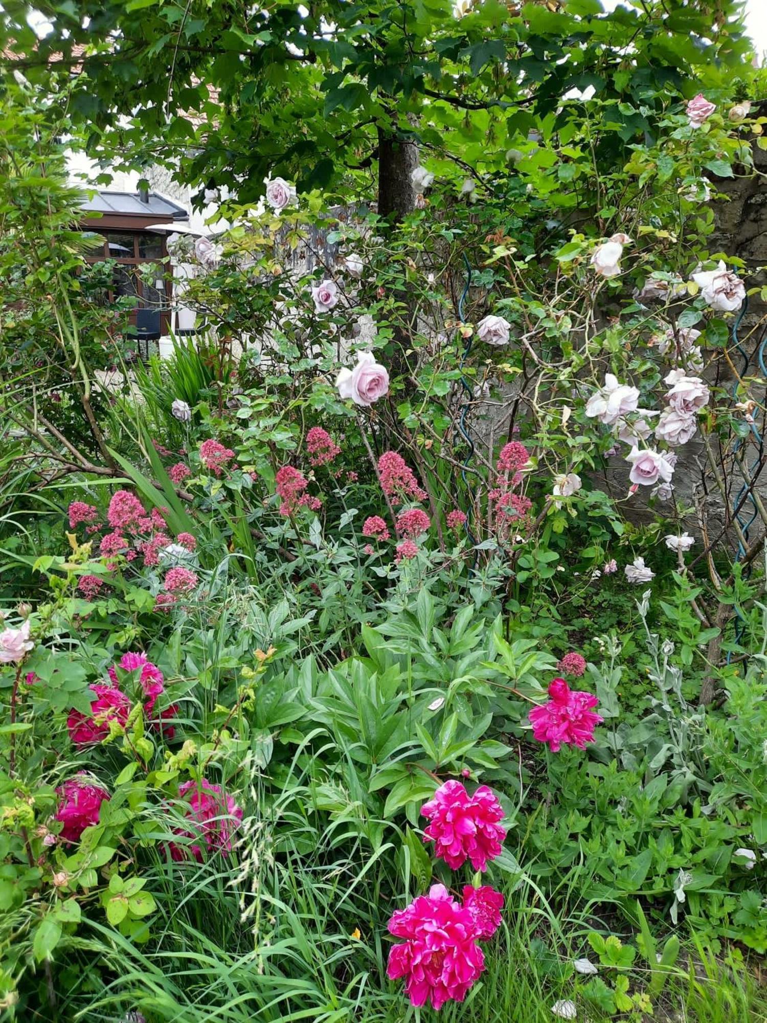 Pierres Et Jardins Senlis (Oise) Exterior foto